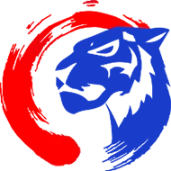 idtsunstar.com